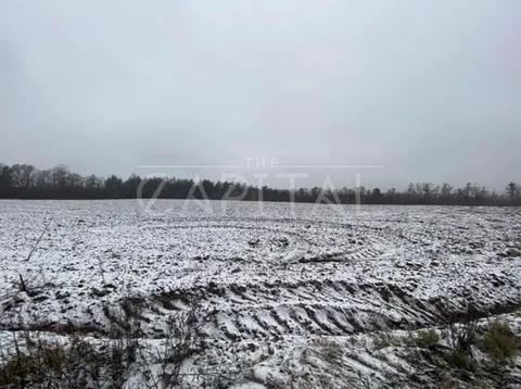 Аренда  участок под жилую застройку Киевская обл., Белогородка,  - 2/7