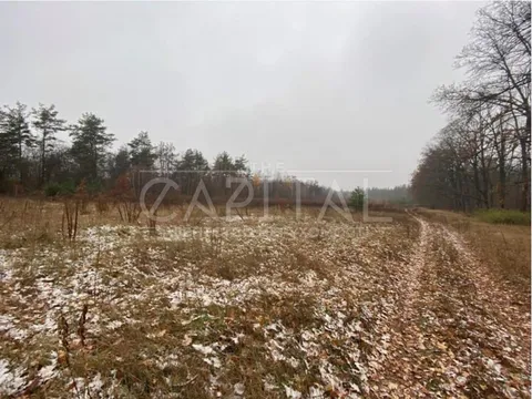 Аренда  участок под жилую застройку Киевская обл., Белогородка,  - 4/7