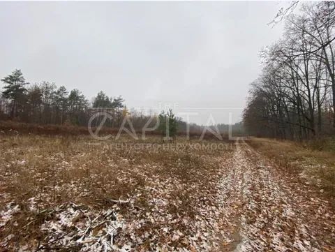 Аренда  участок под жилую застройку Киевская обл., Белогородка,  - 5/7