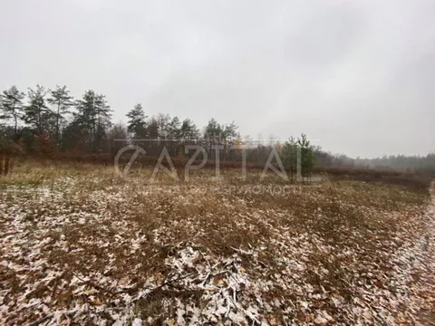 Аренда  участок под жилую застройку Киевская обл., Белогородка,  - 6/7