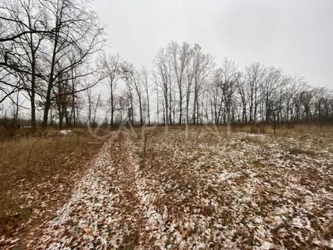 Аренда  участок под жилую застройку Киевская обл., Белогородка,  - 7/7