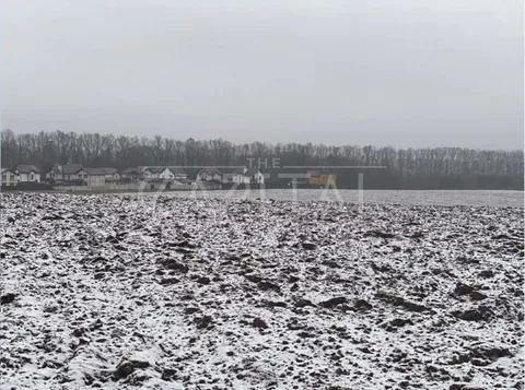 Аренда  участок под жилую застройку Киевская обл., Белогородка,  - 2/7