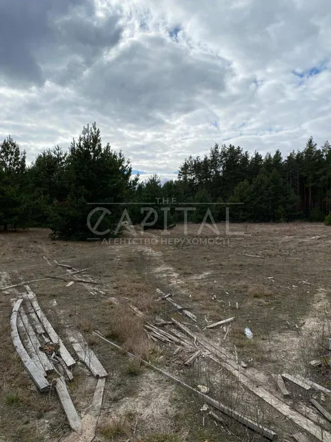 Аренда  участок под жилую застройку Киевская обл., Хотяновка,  - 2/10