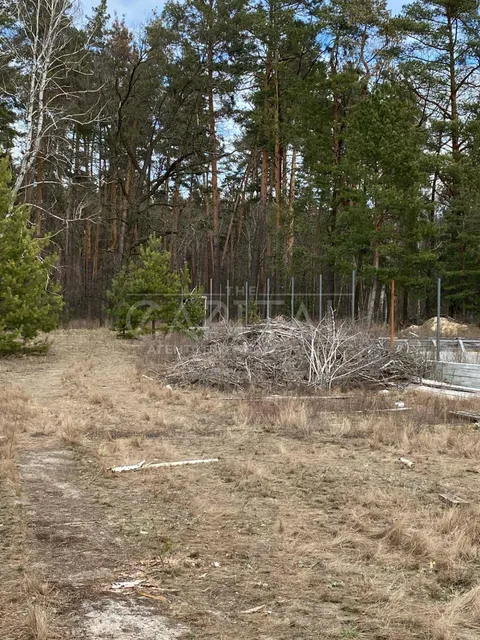 Аренда  участок под жилую застройку Киевская обл., Хотяновка,  - 7/10