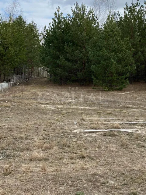 Аренда  участок под жилую застройку Киевская обл., Хотяновка,  - 8/10