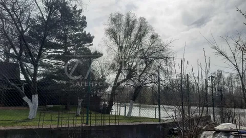 Аренда  земля сельскохозяйственного назначения Киевская обл., Козин,  - 2/8