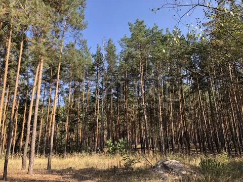Продажа  частный дом Киевская обл., Хотяновка, Сонячна ул.,  - 17/34