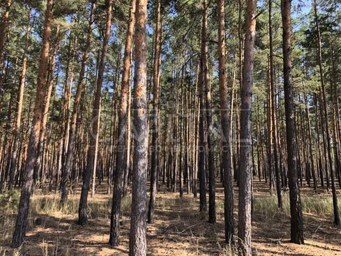 Продажа  частный дом Киевская обл., Хотяновка, Сонячна ул.,  - 34/34