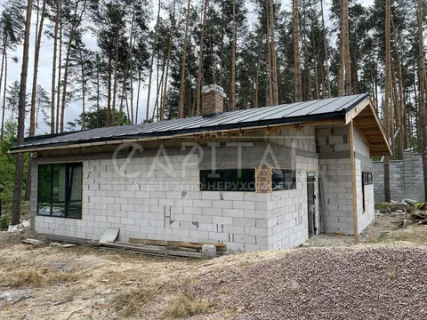 Продажа  частный дом Киевская обл., Гнедин, Успішна ул.,  - 19/19