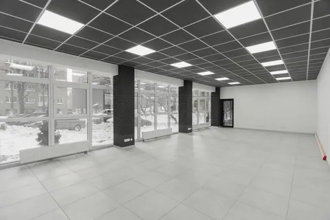 Продажа  коммерческое помещение Киевская обл., Киев, Златоустовская ул., 53а - 2/19