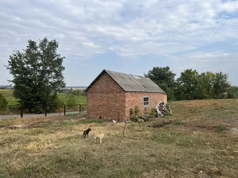 Продажа  коммерческое помещение Киевская обл., Росава, Підгірний ул., 20 - 10/60