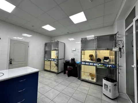 Продажа  коммерческое помещение Киевская обл., Петропавловская Борщаговка,  - 3/34