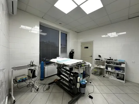 Продажа  коммерческое помещение Киевская обл., Петропавловская Борщаговка,  - 7/34