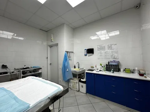 Продажа  коммерческое помещение Киевская обл., Петропавловская Борщаговка,  - 10/34
