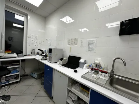 Продажа  коммерческое помещение Киевская обл., Петропавловская Борщаговка,  - 19/34