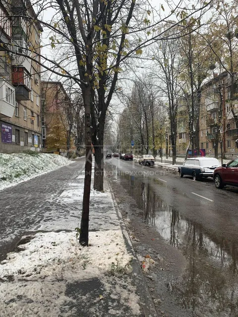 Продажа  коммерческое помещение Киевская обл., Киев, Ереванская ул., 3 - 4/12