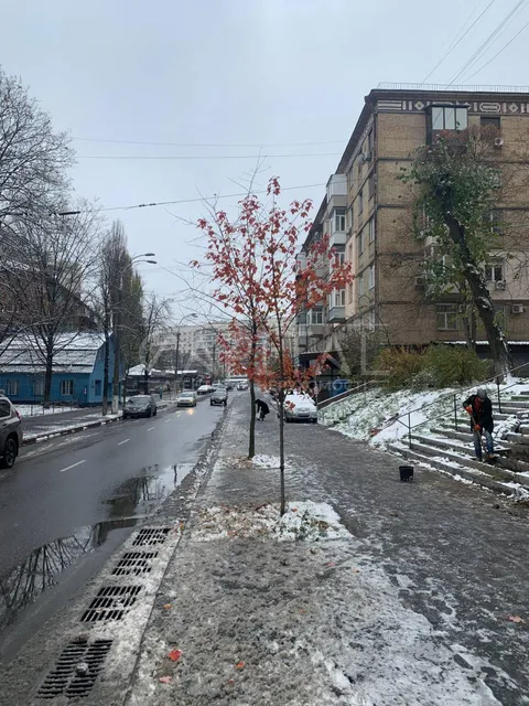 Продажа  коммерческое помещение Киевская обл., Киев, Ереванская ул., 3 - 5/12