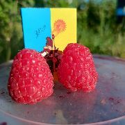 Наталія