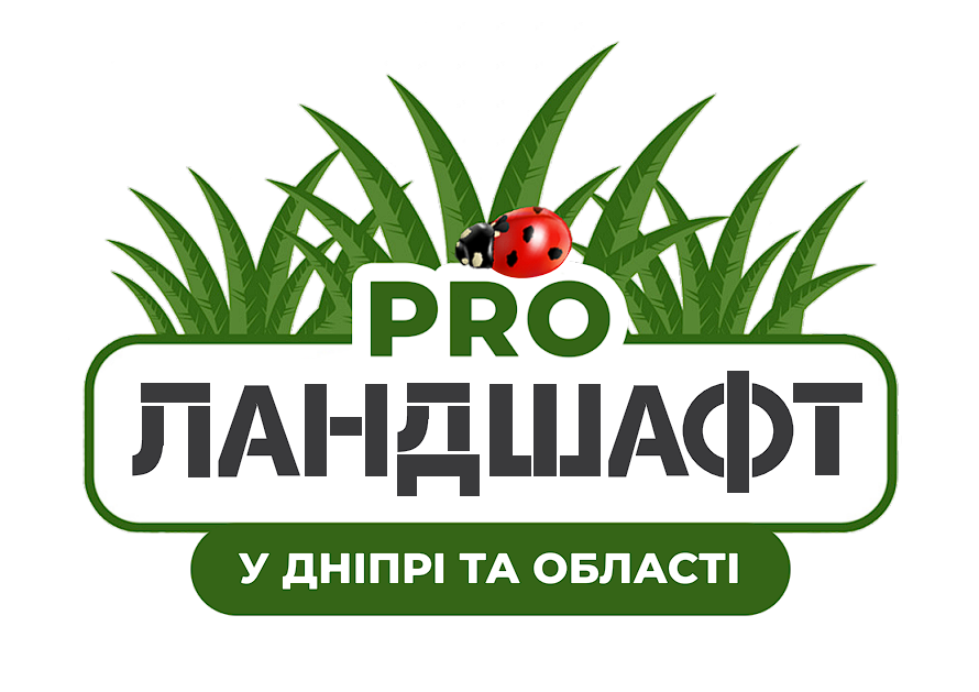 Анастасія Гунько